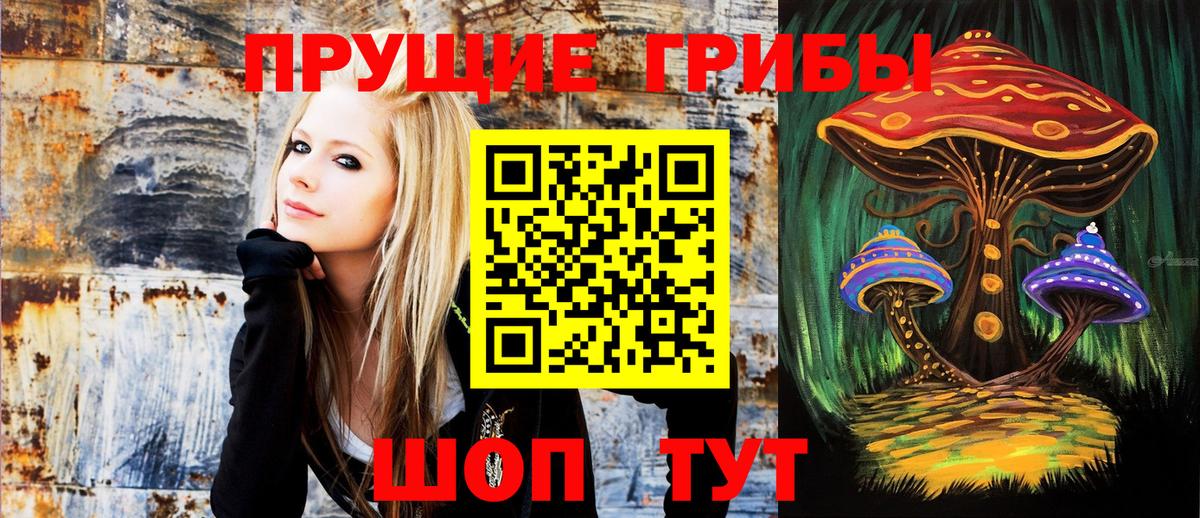 Галлюциногенные грибы прущие грибы  где продают наркотики  Гудермес  Вход с VPN 