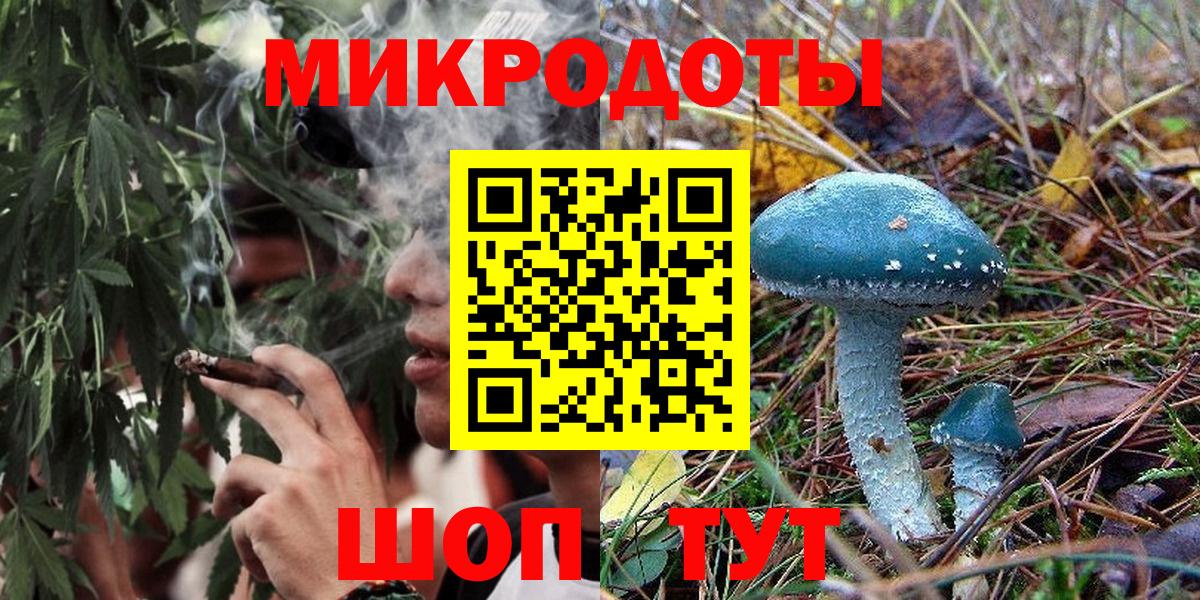 Галлюциногенные грибы Cubensis Гудермес